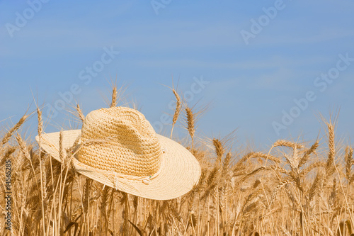 Field of wheat with a straw hat