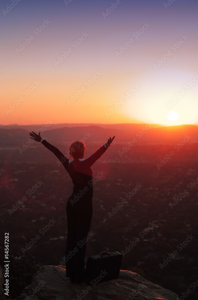 Fototapeta premium Silhouette of Business Woman