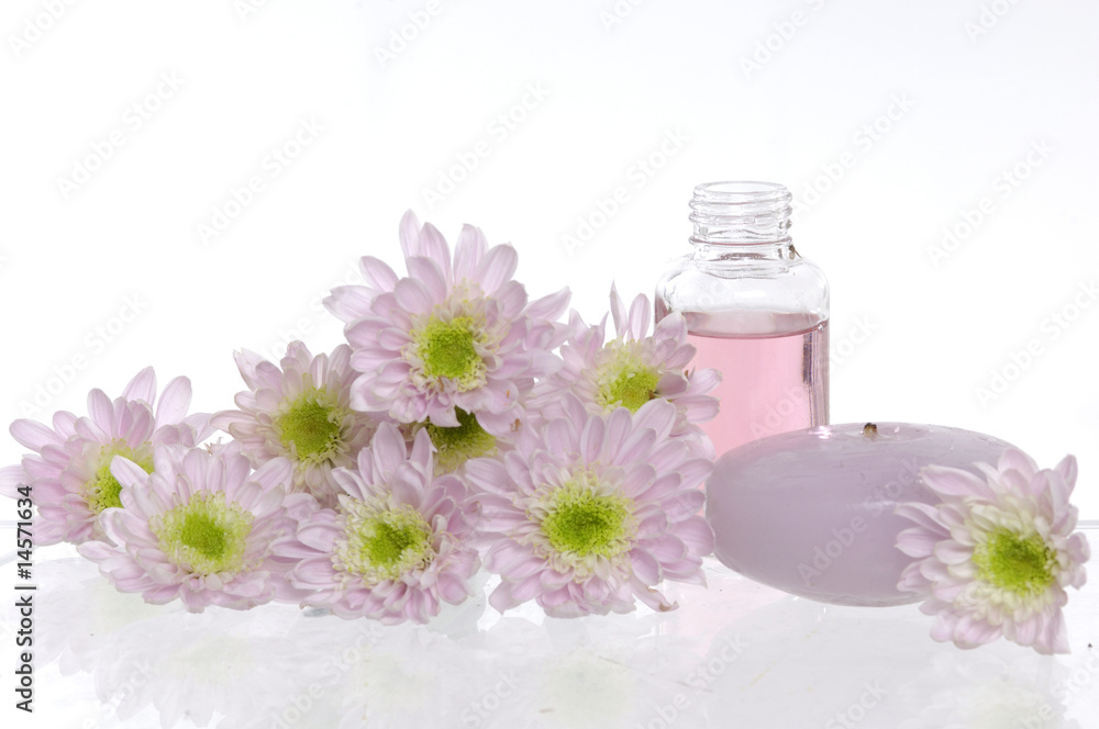 isolated spa bottles and daisies isolated spa bottles and daisies
