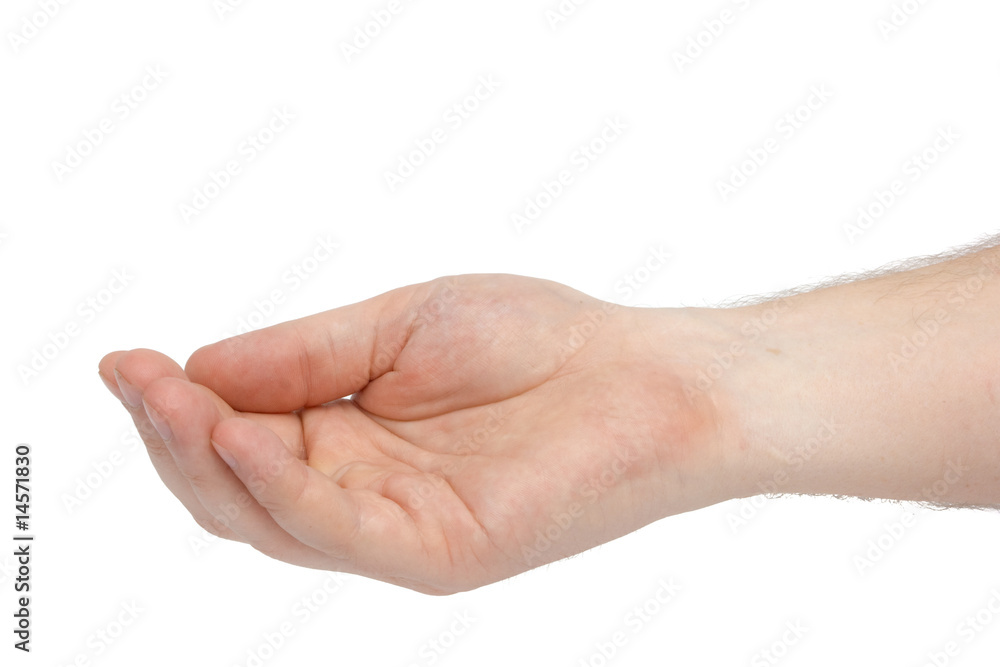 Human asking hand isolated on white Human asking hand isolated on white