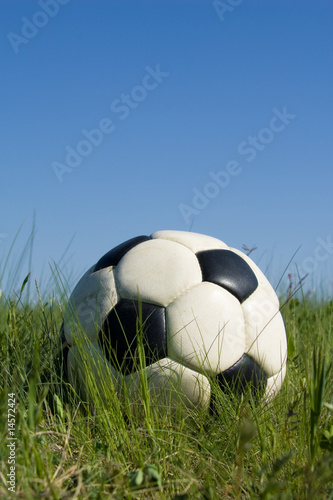 Soccer ball in the grass © Ivan Trucic