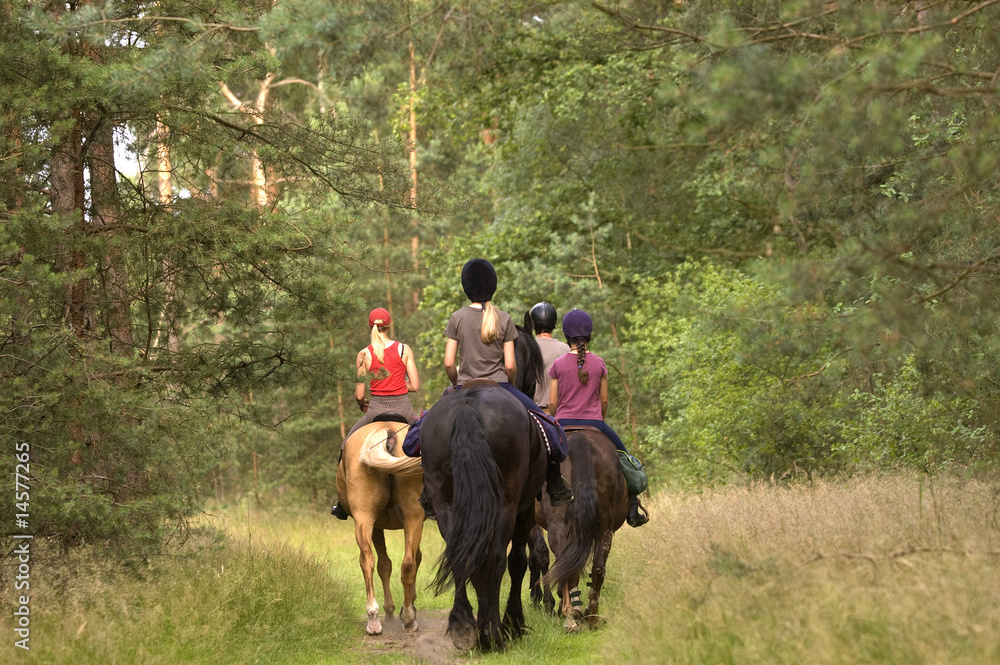 Naklejka premium Reitergruppe im Wald