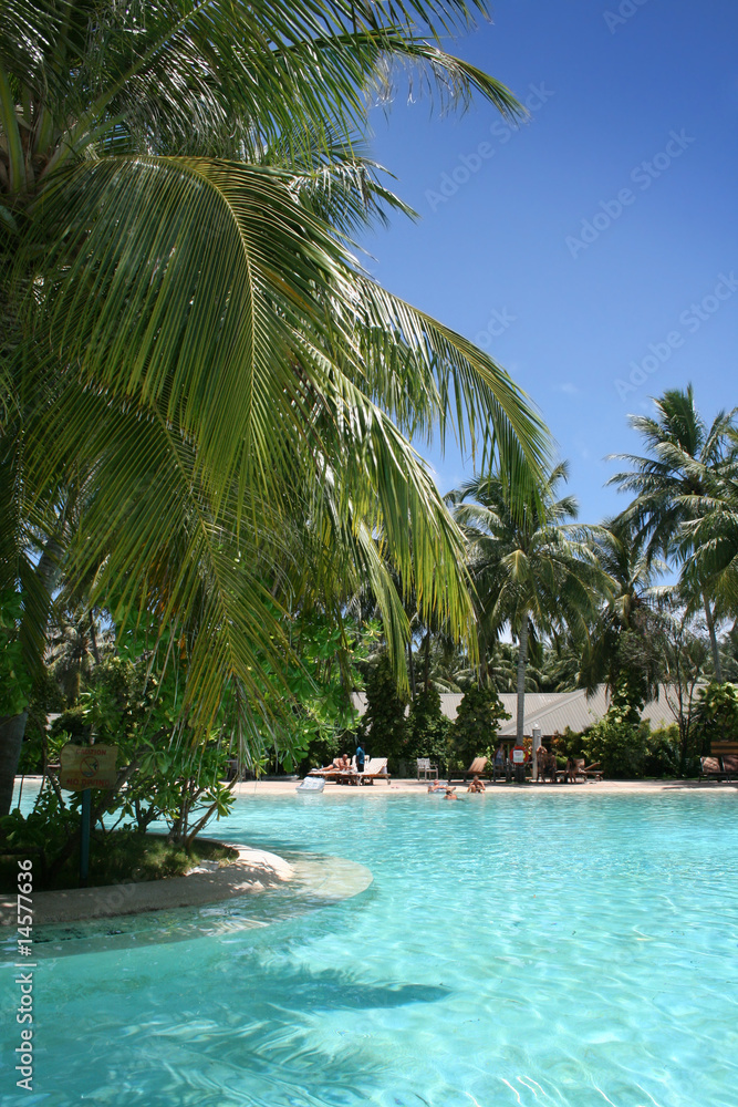 swimming pool swimming pool