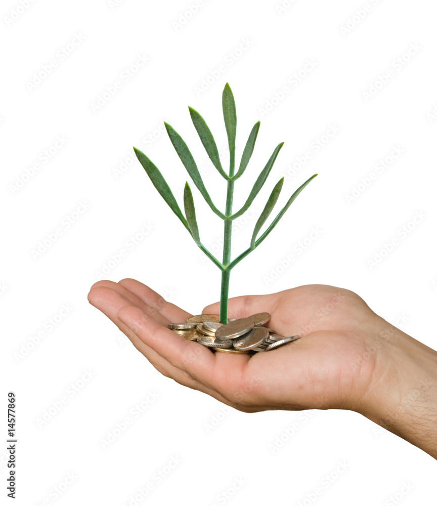 Hand with tree growing from pile of coins Hand with tree growing from pile of coins