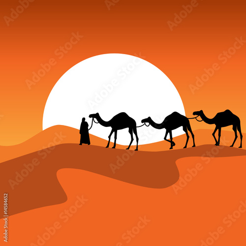 Camel caravan