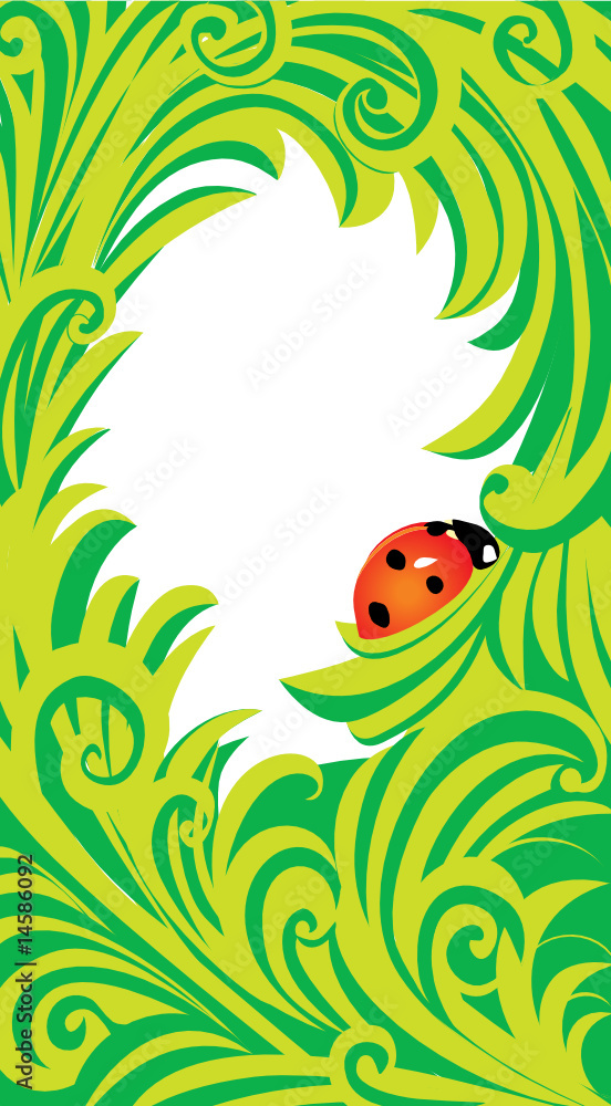 green ladybird frame