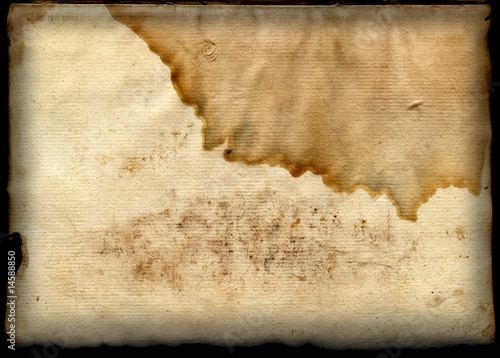 Antique Paper Background With A Big Fox Mark 1664