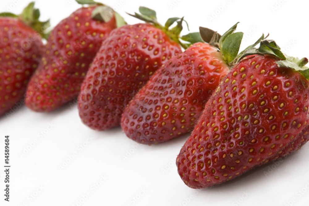 row of strawberries row of strawberries
