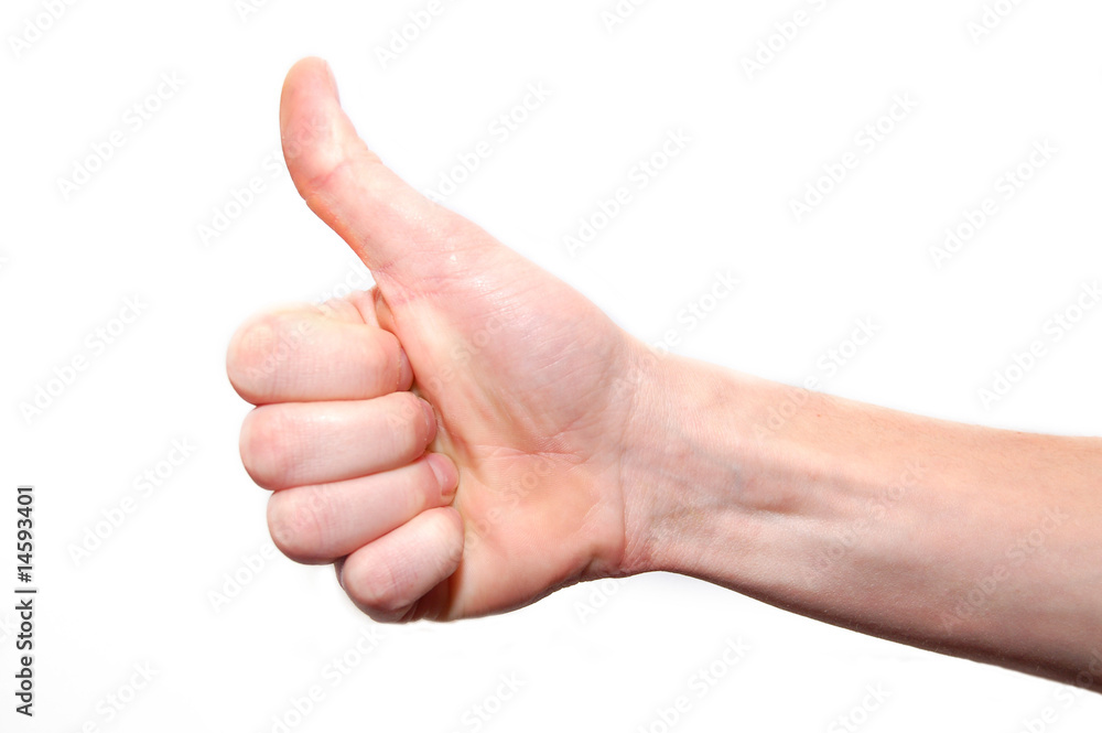Gesturing hands isolated on white background Gesturing hands isolated on white background