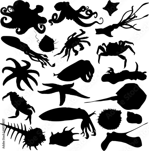 fish, silhouette