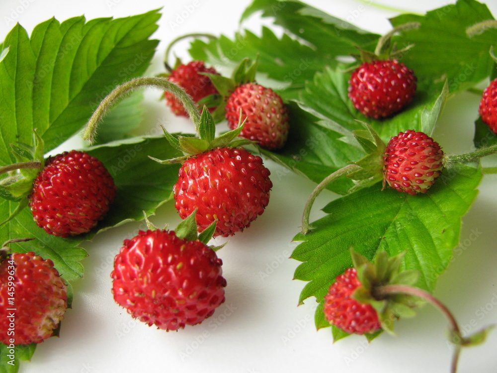 Walderdbeeren mit Blättern Walderdbeeren mit Blättern