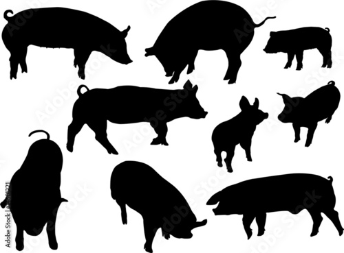 pigs silhouettes
