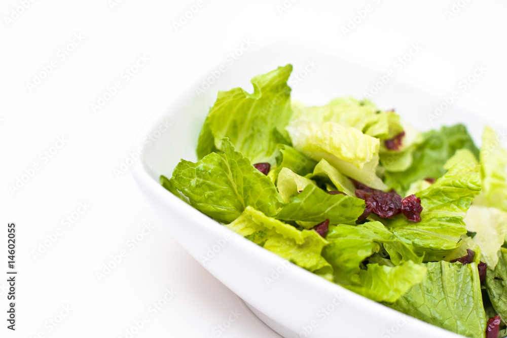 Salad Bowl Salad Bowl