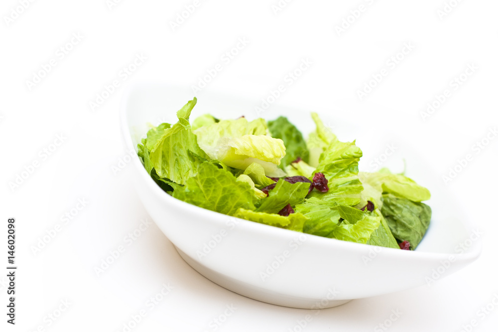 Salad Bowl Salad Bowl