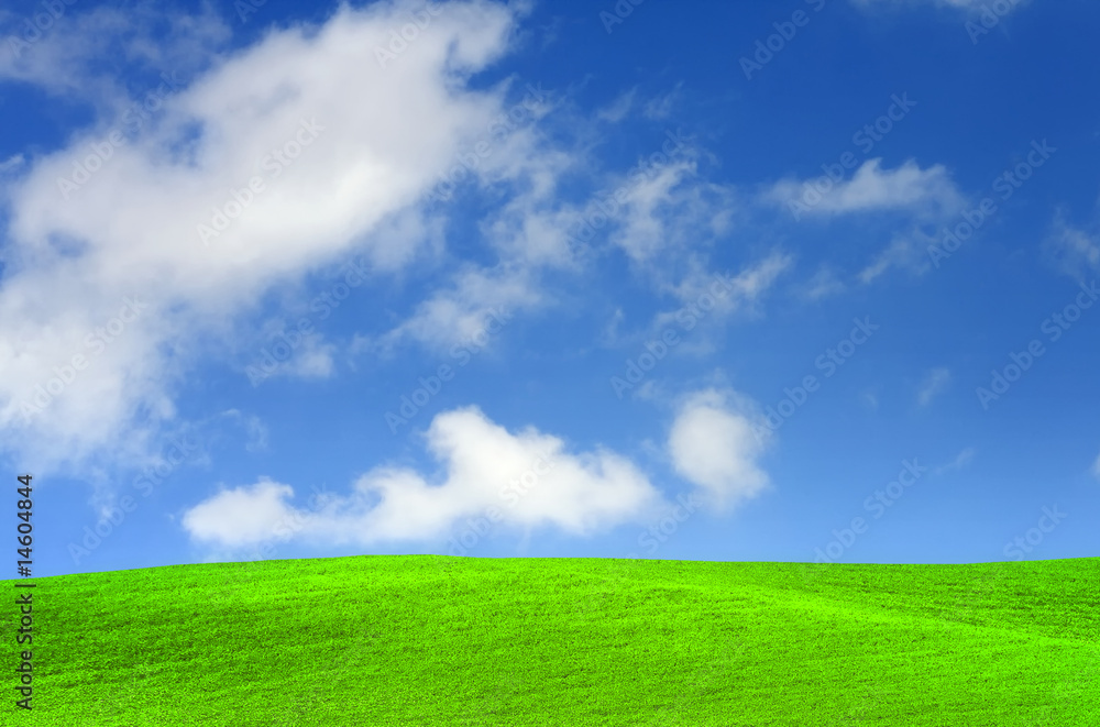 Green grass and  blue sky