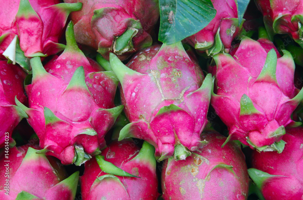 Vegetable Vegetable