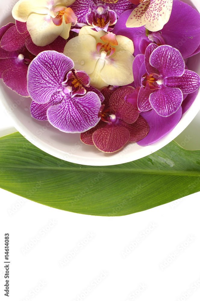 Fototapeta premium Bowl of colorful orchid with leaf