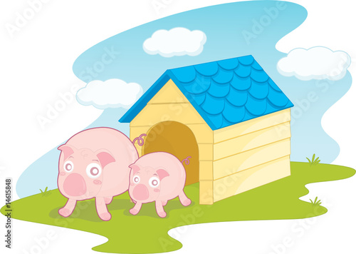 animals