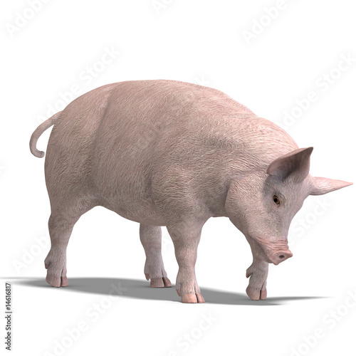 pig render