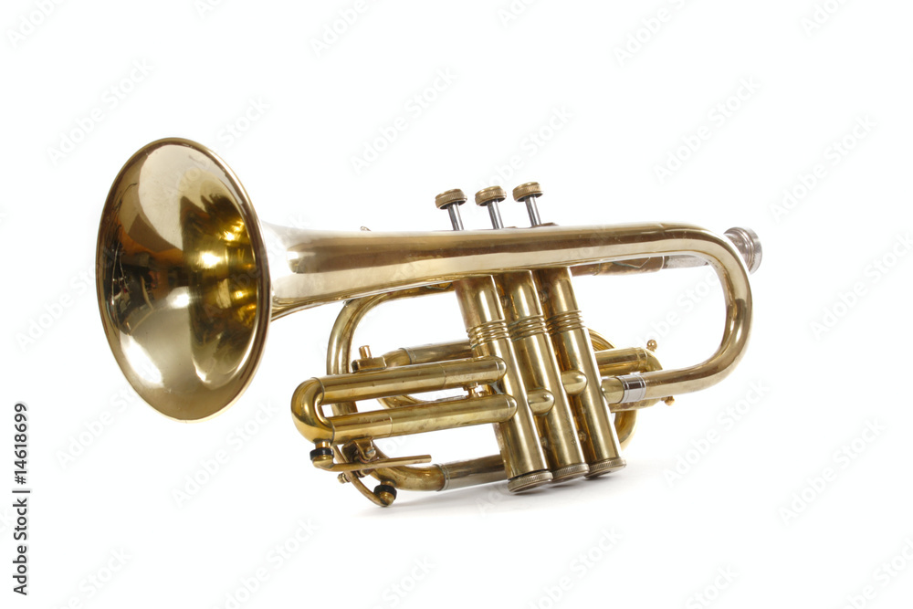 Obraz premium Trumpet