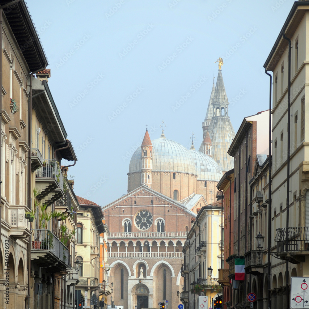 Fototapeta premium Saint Anthony Basilica in Padua (Italy)