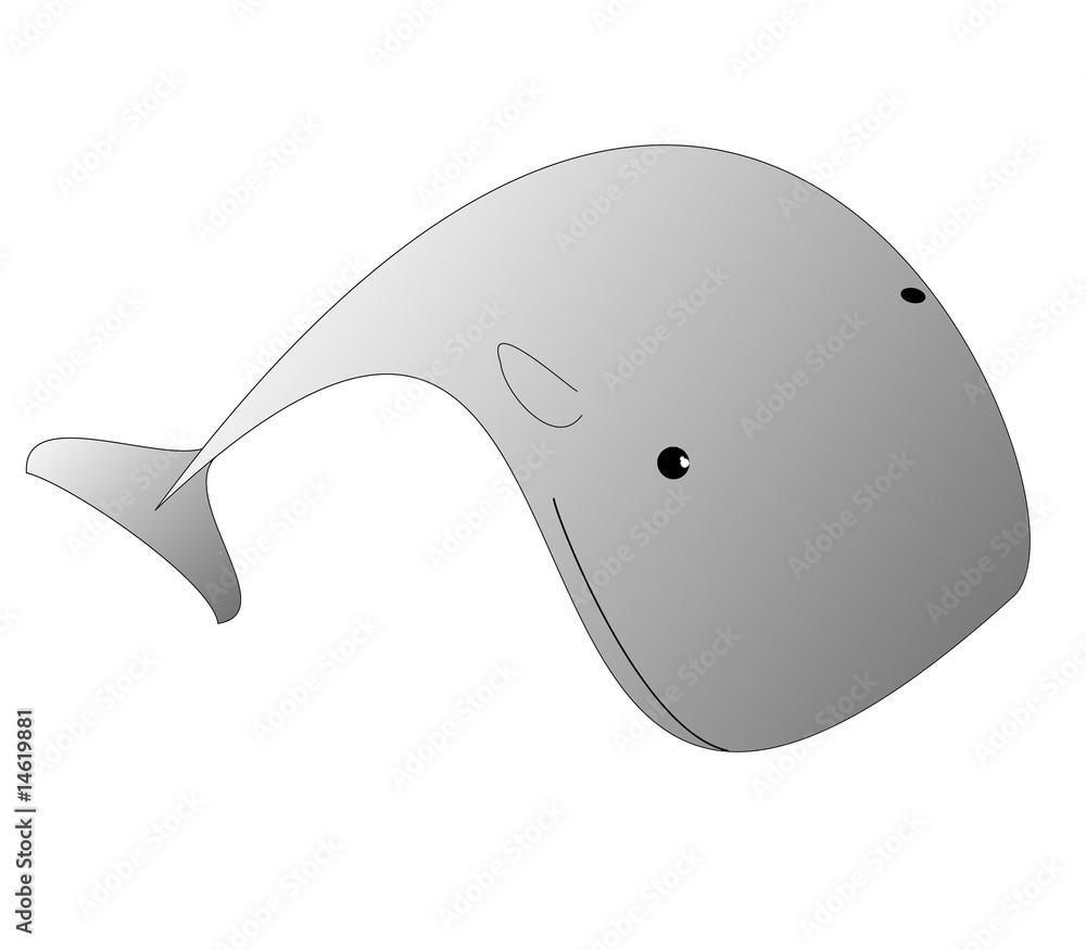 Obraz premium Balena Grigia