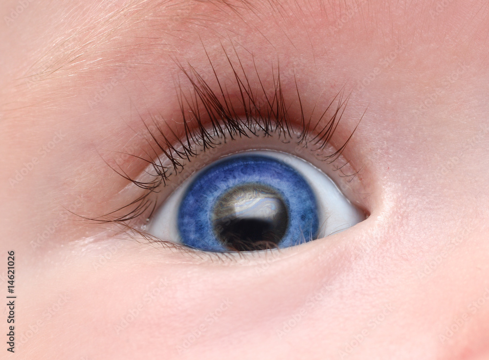 Obraz premium baby blue eye