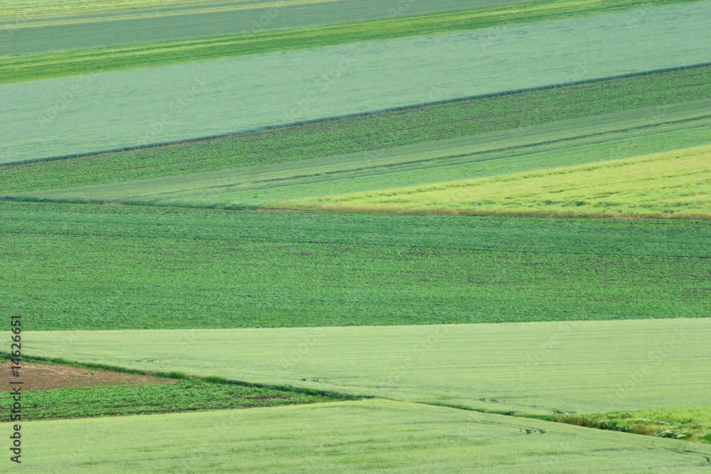 Obraz premium countryside