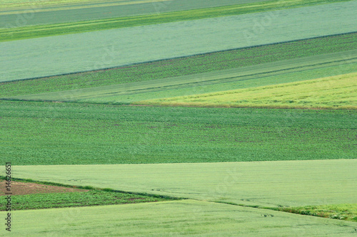 countryside © Galló Gusztáv