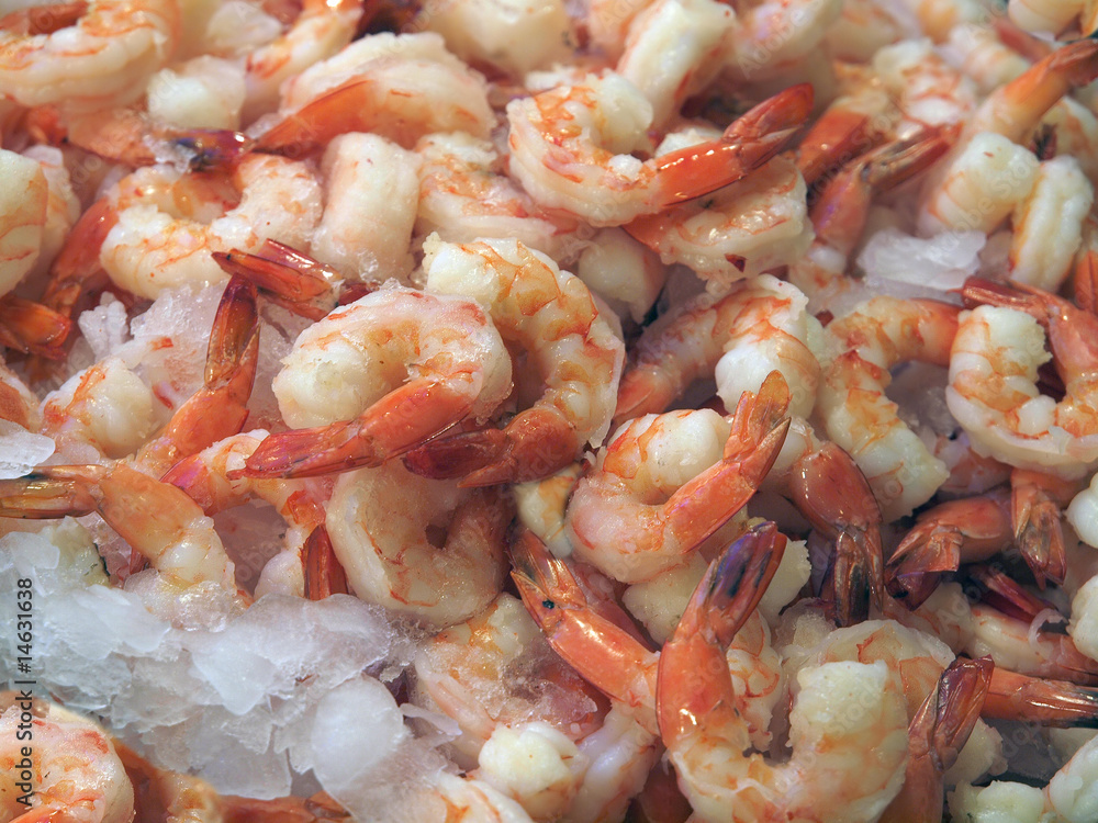 Shrimp on ice Shrimp on ice
