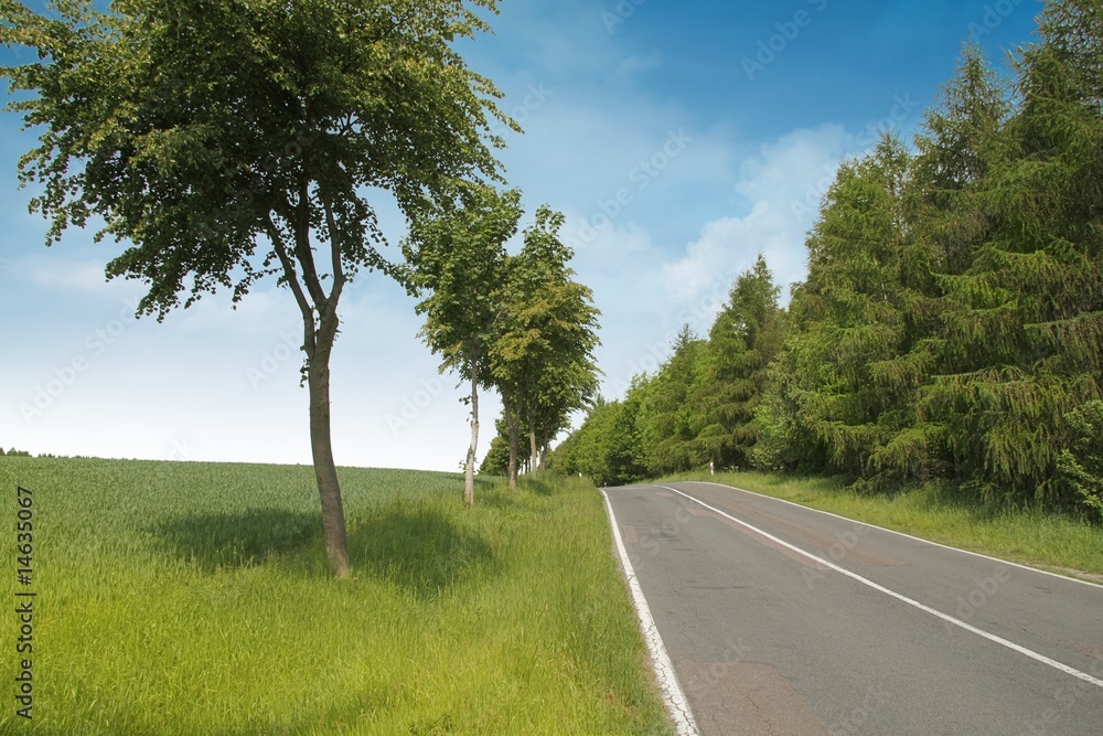 Fototapeta premium verkehr