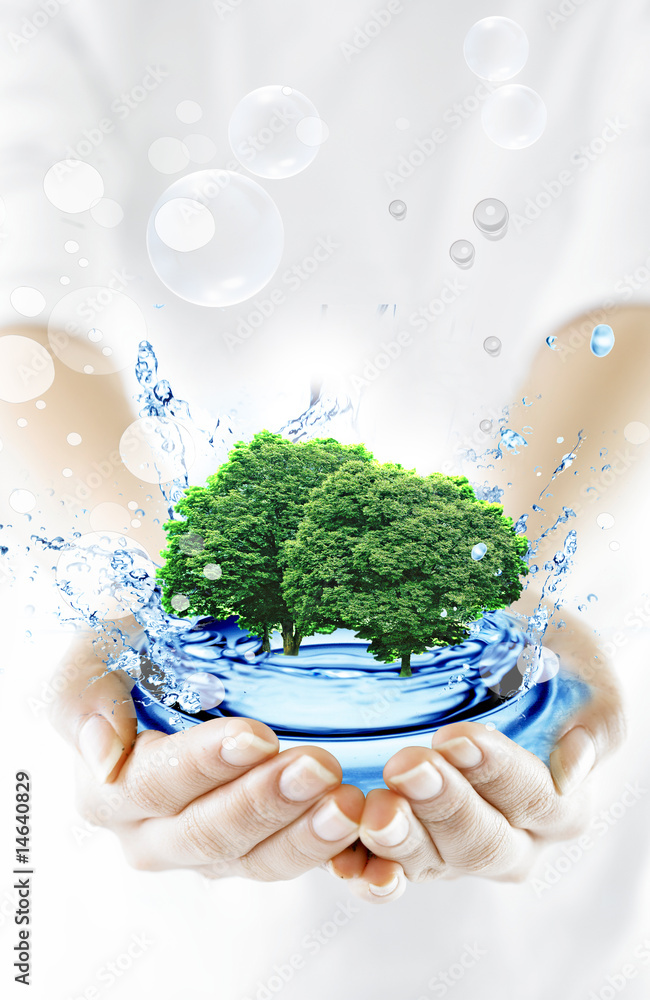 treen and splash of fresh nlue water on hands