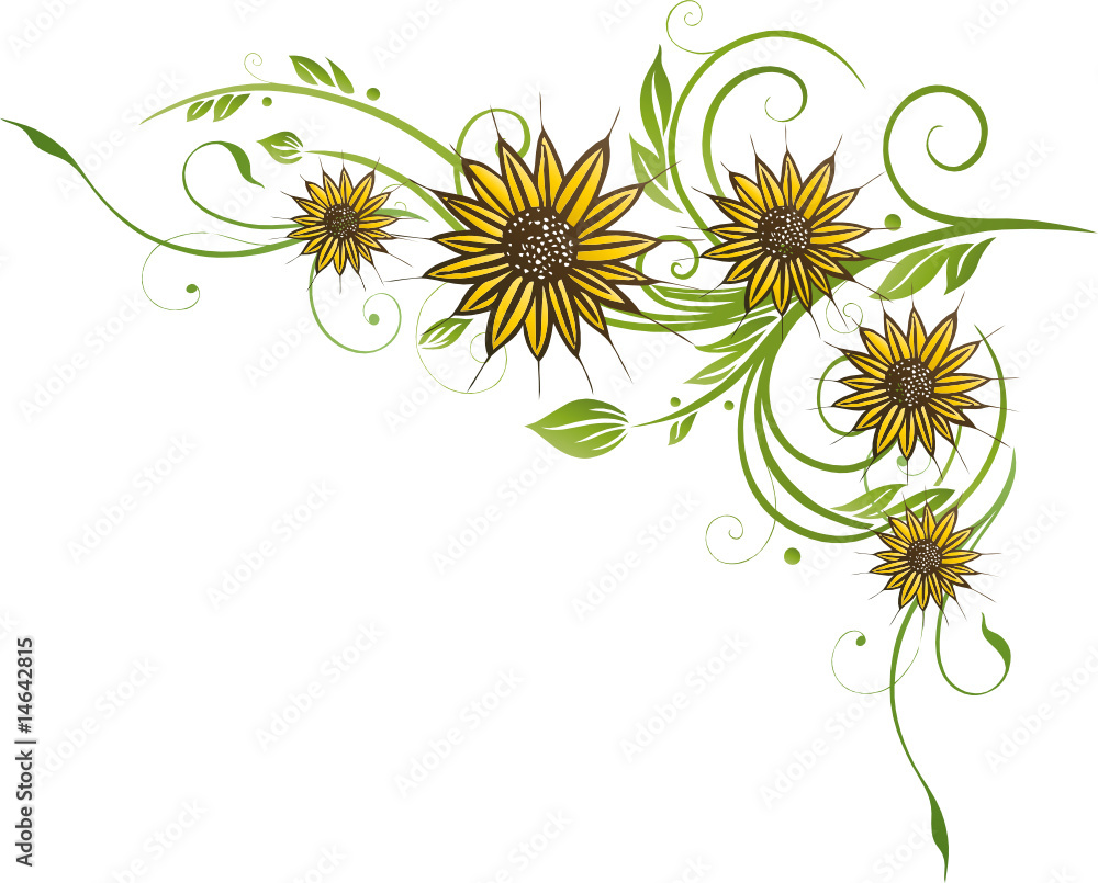 Sommer, filigrane Ranke mit Sonnenblumen Stock-Vektorgrafik | Adobe Stock