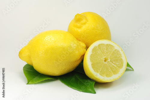 Zitrone [3]