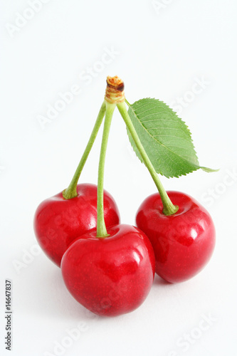 The Ripe sweet cherries