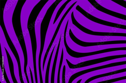Zebra Textur Lila