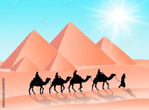 Viaggio in cammello