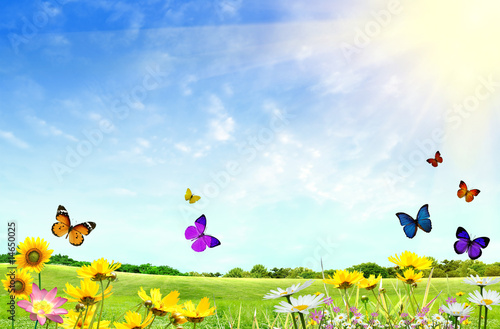 Flowery field