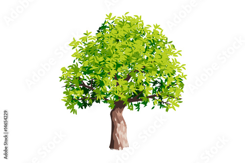 tree
