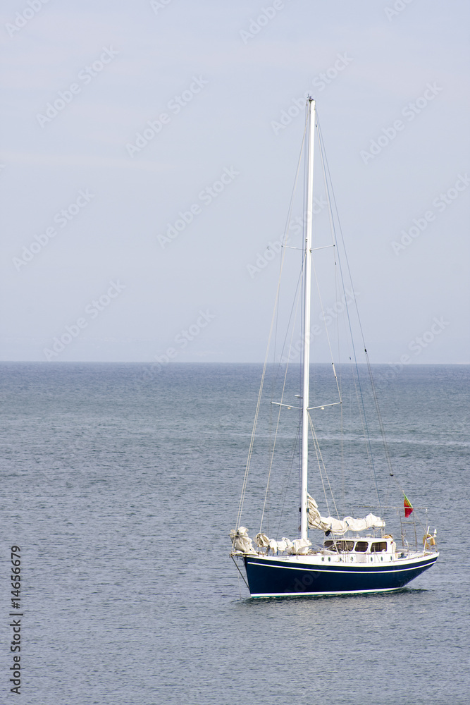 barco velero