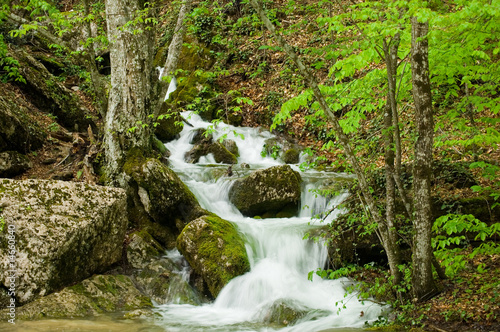 Mountain river.