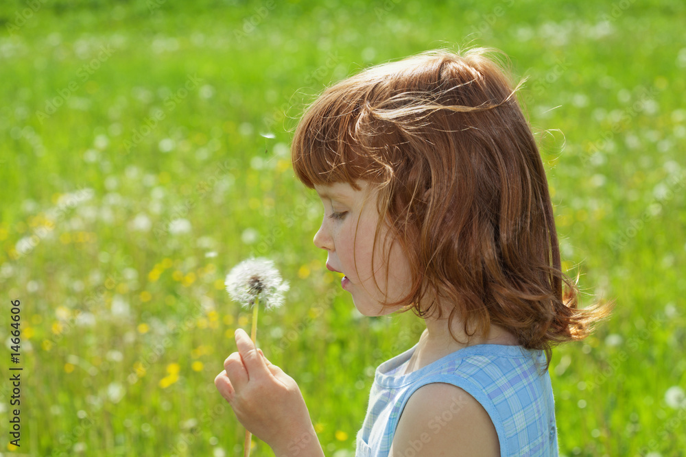 Little girl blowing dandelion Little girl blowing dandelion