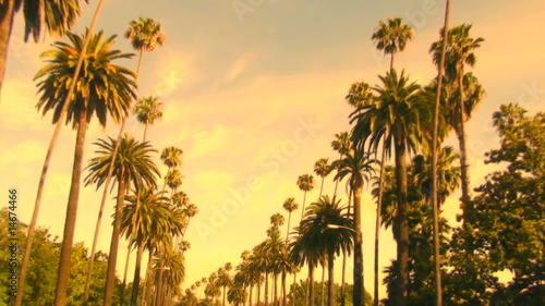 Beverly hills landscape - HD
