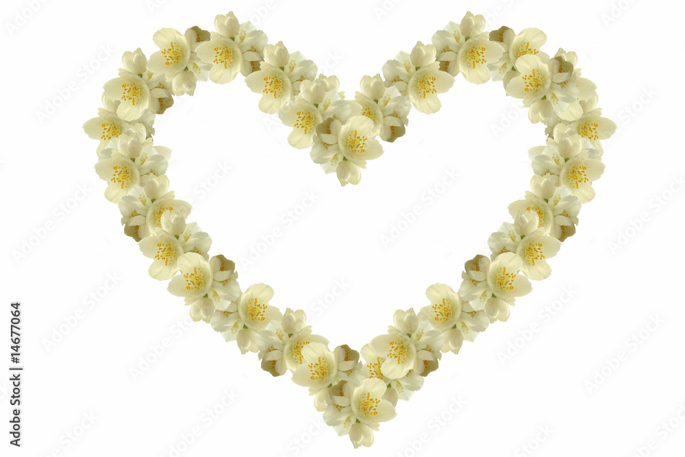 Obraz premium jasmine heart background