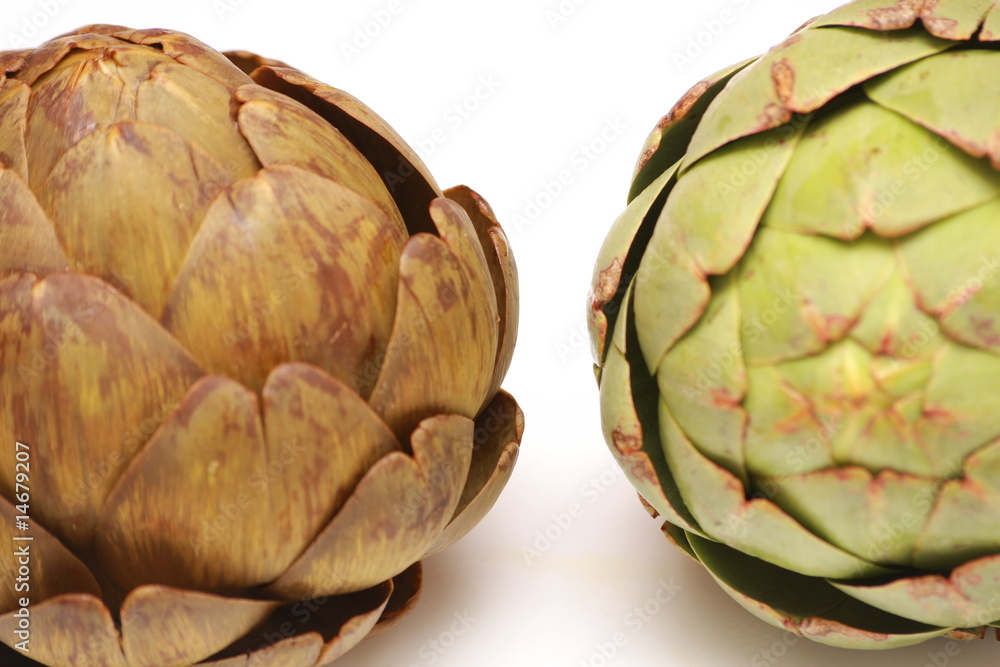 Obraz premium artichaut