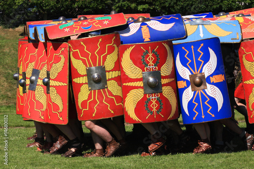 Фотография Testudo