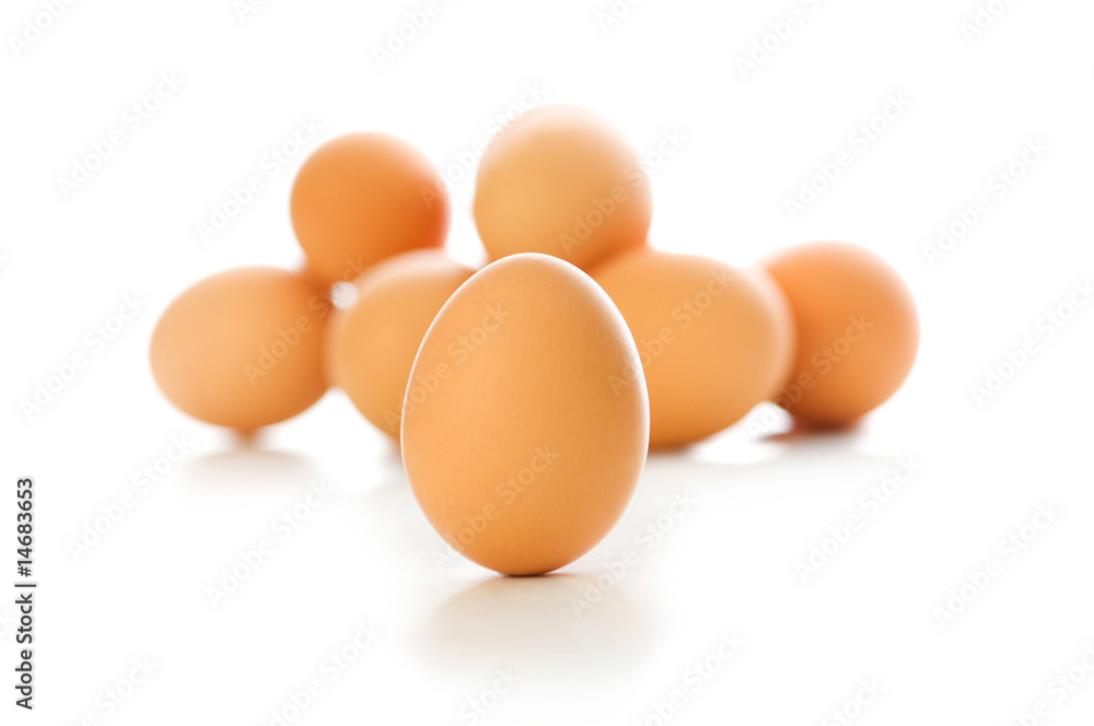 Brown egg on white - shallow depth of field Brown egg on white - shallow depth of field