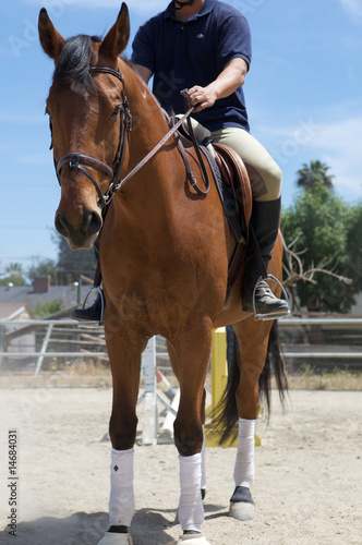 Horseback Riding © SPS Media