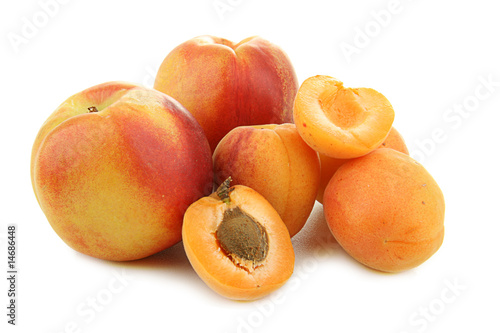 fruits, abricots et peches sur fond blanc