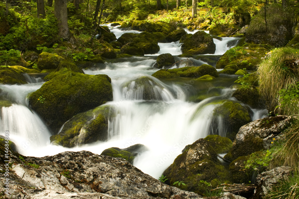 rapids with stones and moss in the alps rapids with stones and moss in the alps
